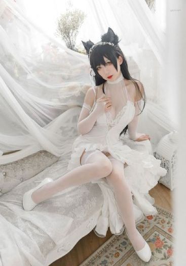 恐龙当家2_BD韩语高清视频播放